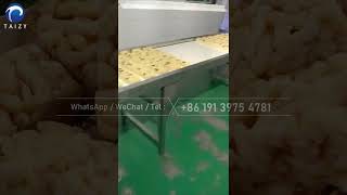 Caramel treats packing machine | Horizontal packing machine | Gauze roll packing machine