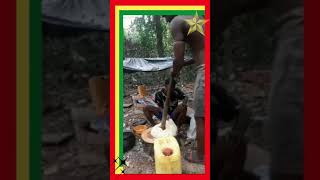 GHANAIAN MEN COOK  FUFU  IN A SMALL VILLAGE #shots