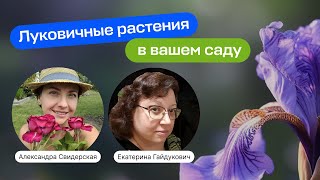 Луковичные растения в вашем саду | Прямой эфир Умный Садовник