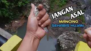 Senang sekali !! ikan nilem lahap makan umpan saya