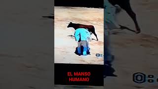 El  Manso  humano, Meliana   en  2002.