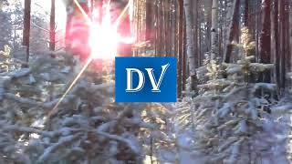 Новое зимнее интро канала "DV" (01.11.2020-30.01.2021)