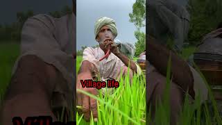 punjabi log village life at india🇮🇳 pakistan 🇵🇰 border.