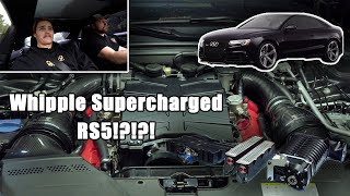 Whipple Supercharged RS5?!?!! - Eurofed Build