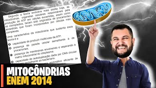 MITOCÔNDRIAS NO ENEM  | Segundo a teoria evolutiva mais aceita, as mitocôndrias, organelas celulares