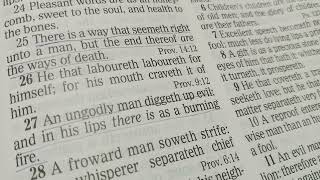 Proverb Chapter 16: Do and say things that please the Lord.