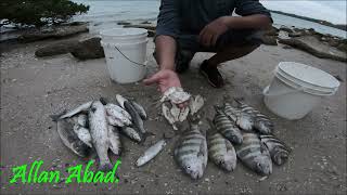 PESCA CON ATARRAYA\\Allan Abad