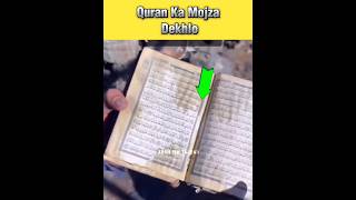 Quran Ka Mojza Dekhlo 😱 | Allah Ki Qudrat Ka Manzar | #shorts #quran #viralvideo #shortsfeed