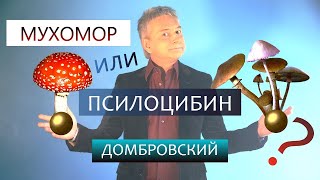 МУХОМОР или ПСИЛОЦИБИН? Размышления.