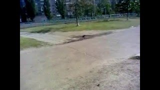 Водные процедуры ворона