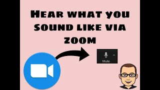 Testing Your Zoom Audio (how your voice gets picked up) and Speakers