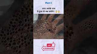 औरत को हुई खतरनाक बीमारी / Trypophobia / movie explained in hindi / #shorts #viral