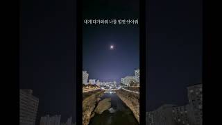 박새별 - 세상의 모든 인연 (with 박원) (가사)