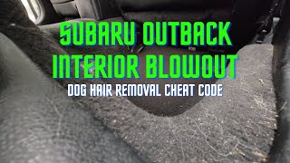 Interior Blowout of a Subaru Outback | Pet Hair Cheat Code | DIRT Series | Junction Auto Salon