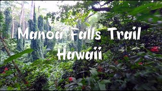 Manoa Falls Trail - Hawaii