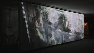 Echolocation is an eleven-meter-long, three-channel video installation from Matt Collishaw HonFRPS