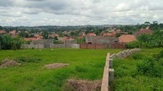 LAND FOR SALE 31 DECIMALS IN GAYAZA AT 150M