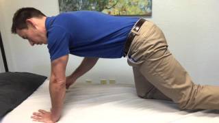 Core Strengthening for Low Back Pain in Austin - "All Fours" - Legs Only