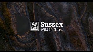 Wildlife Trust RYE Harbour Aerial Film