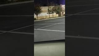 coyote in the lot