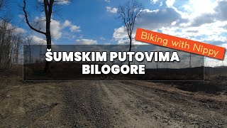 Šumskim putovima Bilogore