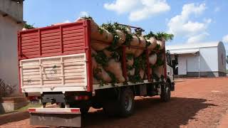 Yerbatera Hoja Verde SRL -  Cadena de producción