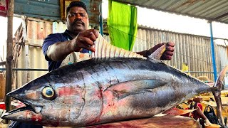 KASIMEDU SPEED SELVAM TUNA FISH CUTTING VIDEO / cutting focus