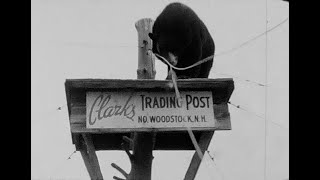 Old Home Movie of New England Sights - Old Man in the Mountain, Clarks Trading Post and Natureland