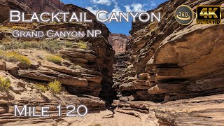 Blacktail Canyon - Mile 120 - Grand Canyon NP - Colorado River - V360