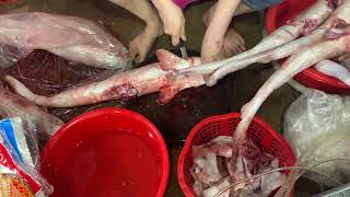 Baby Sharks Fin Cutting by Vendor Video inside the Asian Market | FLV Official