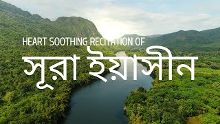 Heart Soothing Recitation of Sura Yaseen |  islamic amol bangla #surah #surat  #viral #islamic