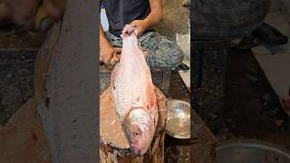 Amazing Rohu Fish Cutting Skills In Bangladesh Fish Market By Expert Cutter #shorts