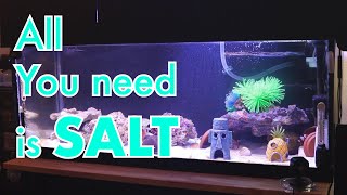 BASIC SALTWATER TANK ITEMS