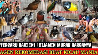 🔴 TERBARU HARI INI‼️OBRAL MURAI BLOROK HARGA DIJAMIN DIBAWAH PASARAN 0838-7553-6945