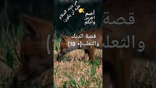 مكر الثعلب وذكاء الديك_قصة ليست للاطفال أبدا #منوعات