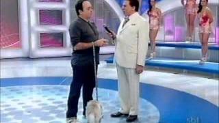 Animais dos artistas Programa Silvio Santos 09/10 Completo