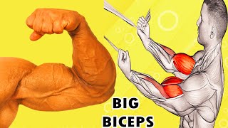 5 Best Exercises for Massive Biceps - How to Build Big Biceps in 15 Days