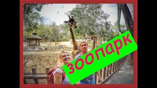 Зоопарк (Chiang Mai Zoo) Тайланд Чианг-Май 01.2018