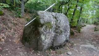 El Asentadero Bosque de los Espejos ( Sierra de Francia )