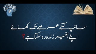 General Knowledge 04 | Latest | دلچسپ معلومات اور پہیلیاں | For latest test Preparations