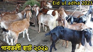 qurbani eid 2021: Biggest Gabtoli cattle market/ Goat (Part-2) market price in Bangladesh