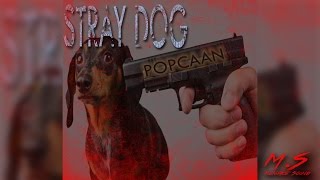 Popcaan - Stray Dog (Radio Clean) ♫ [January 2017] ♫