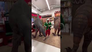 Elliot the Elf teaches Dino’s how to dance! 🦖🦕🎄