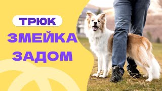 ОБРАТНАЯ ЗМЕЙКА трюк змейка задом