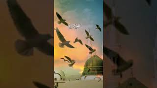 salam ul alayka shafi ul umam #daroodshareef #daroodshareefﷺ #islamicstatus #viralvideo