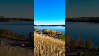 Fall foliage 🍂 #autumn #fallfoliage #travel #nature #relax #music #canada #calgary