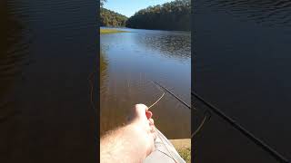 A peaceful day at the lake