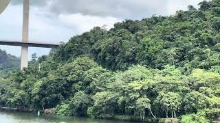 Panama Canal #5