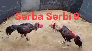 Serba Serbi 9