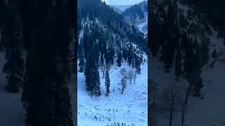 Gulmarg Kashmir Snow Fall 👌🔥 #gulmarg #gulmargkashmir #gulmargsnowfall #kashmir #viral #shorts